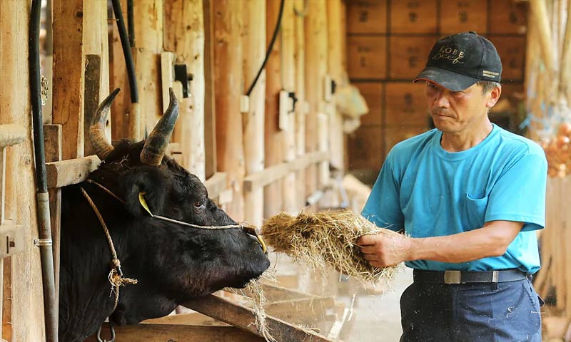 Japon Wagyu Eti Turkiye